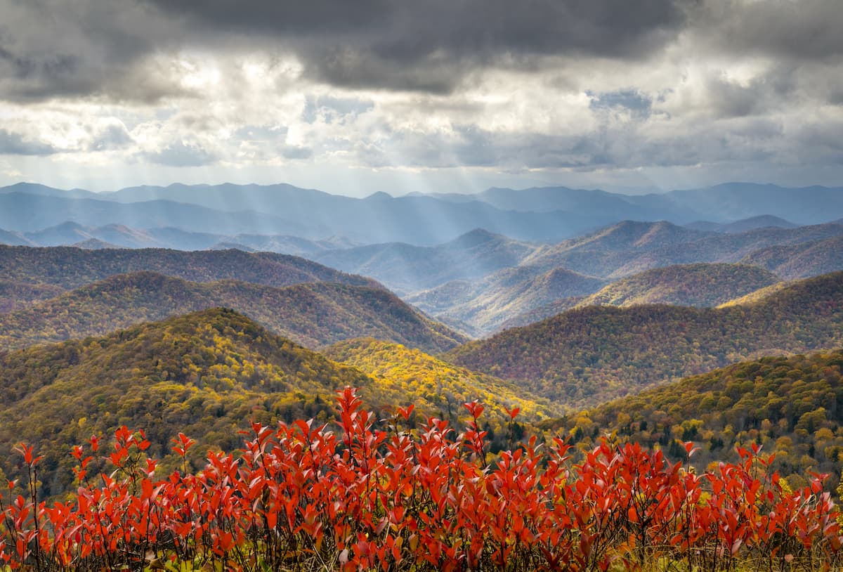 The National Park Service Turns 105!
